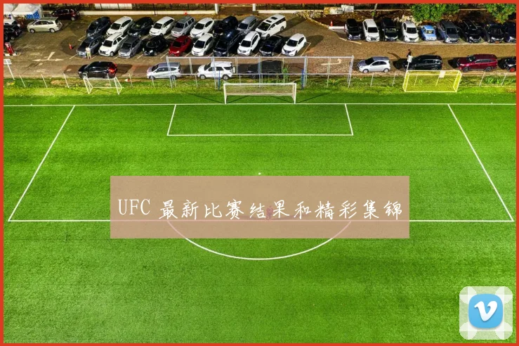 UFC 最新比赛结果和精彩集锦